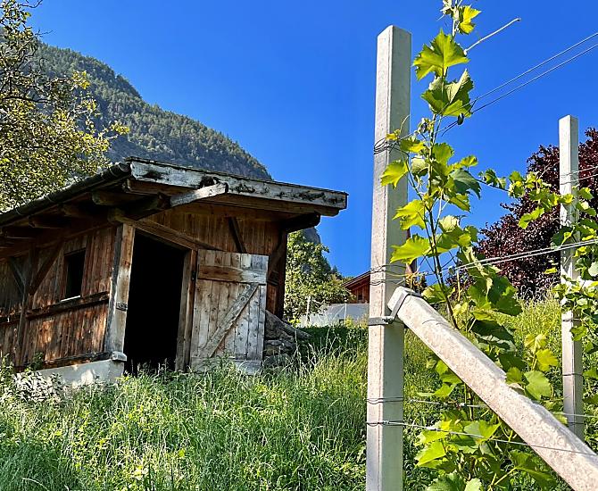 Gasserhof - Galeria zdjęć Photo
