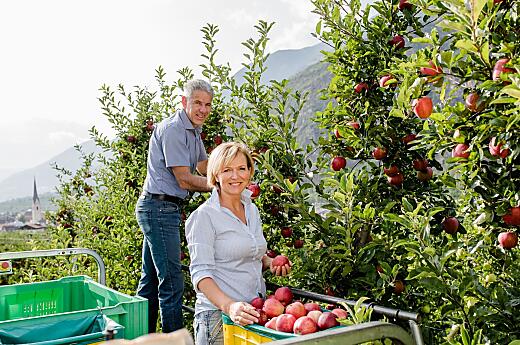 Burg Latsch - Gospodarze Photo