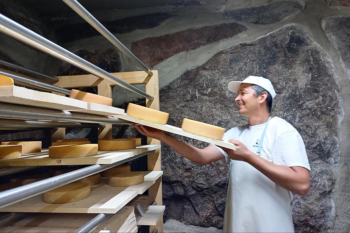 Im Reifekeller wird der Käse täglich gepflegt