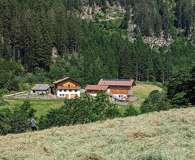 Hofkäserei Steg - Galeria zdjęć Photo
