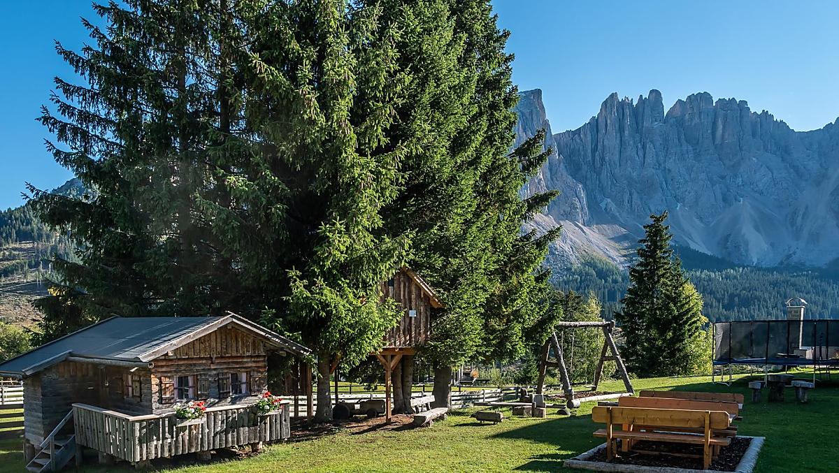 Angerle-Alm - Galeria zdjęć Photo