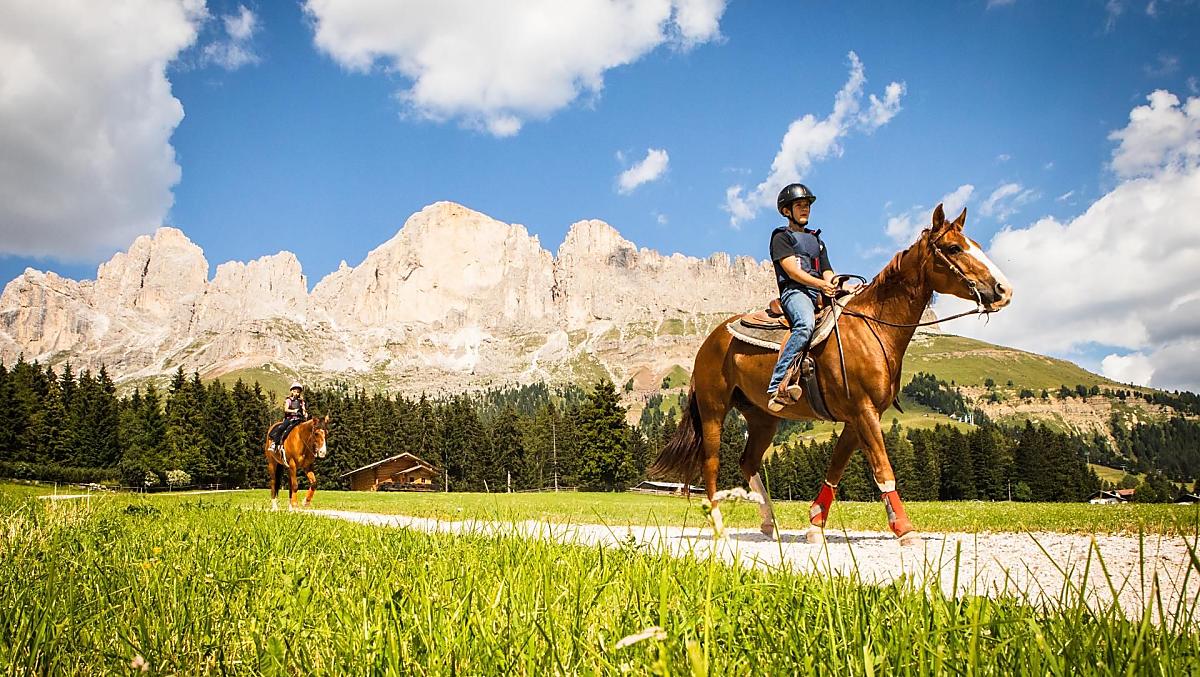 Angerle-Alm - Galeria zdjęć Photo