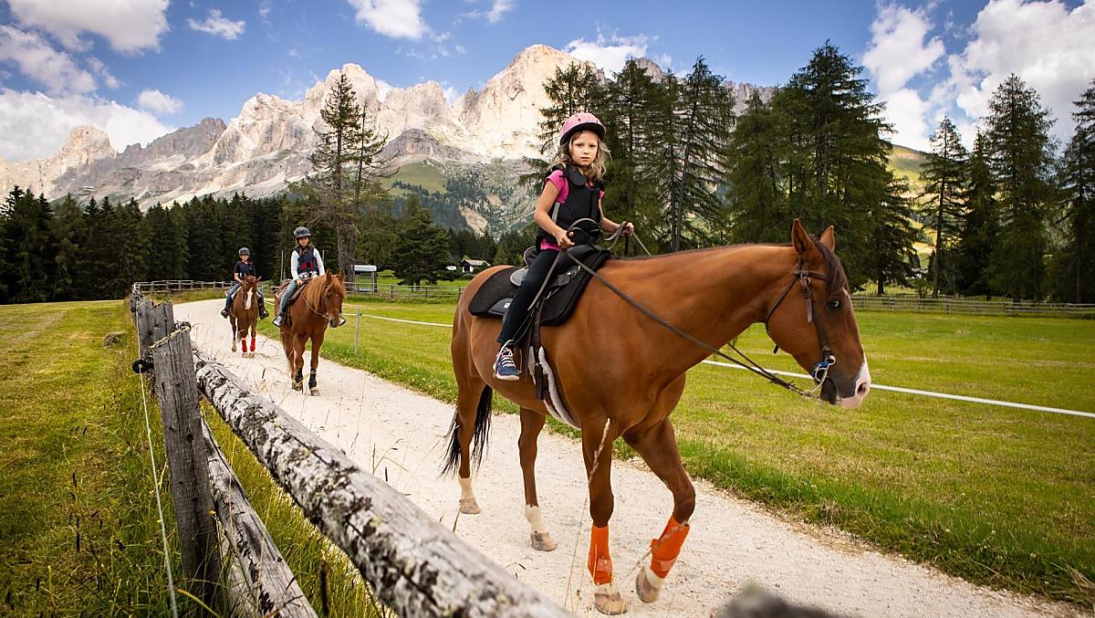 Angerle-Alm - Galeria zdjęć Photo