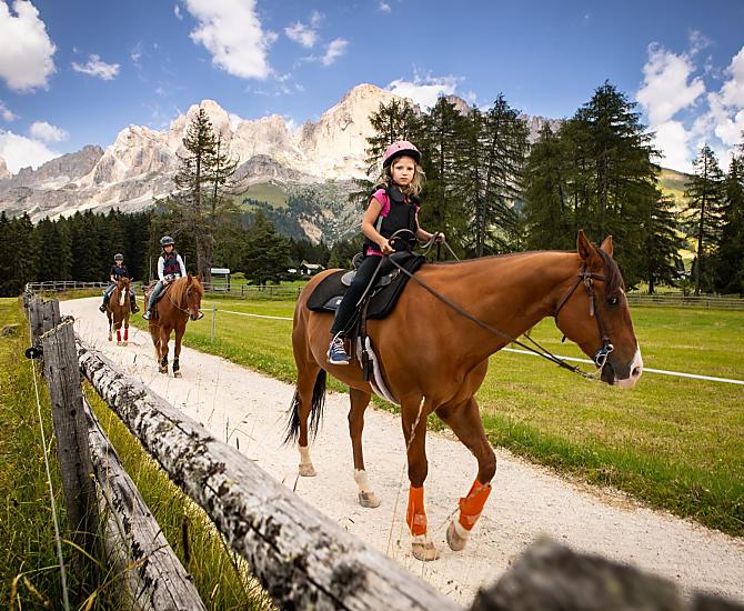 Angerle-Alm - Galeria zdjęć Photo