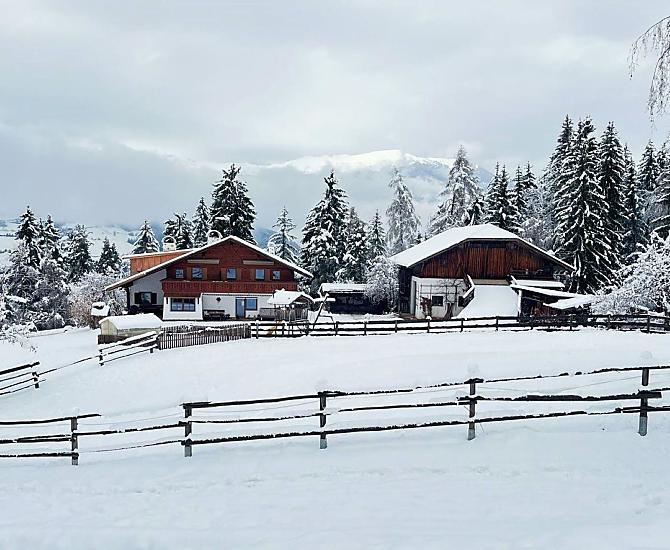 Wieshof - Galeria zdjęć Photo