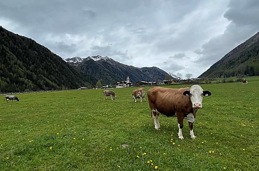 Lechnerhof - Lista Photo