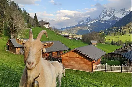 Ausserwatschingerhof - Lista Photo