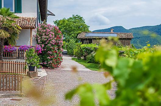 Weinhof - Lista Photo