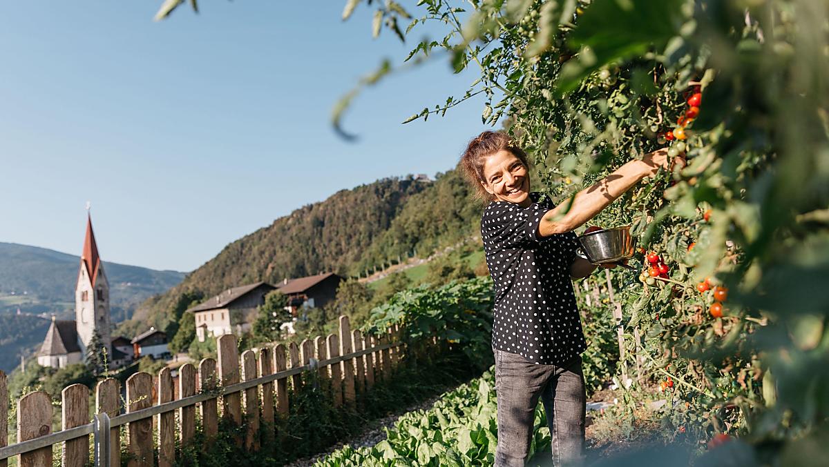 Nasz ogród warzywny