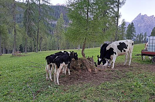 Ausserschrafflerhof - Lista Photo