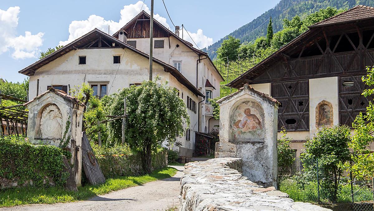 Goidnerhof - Galeria zdjęć Photo
