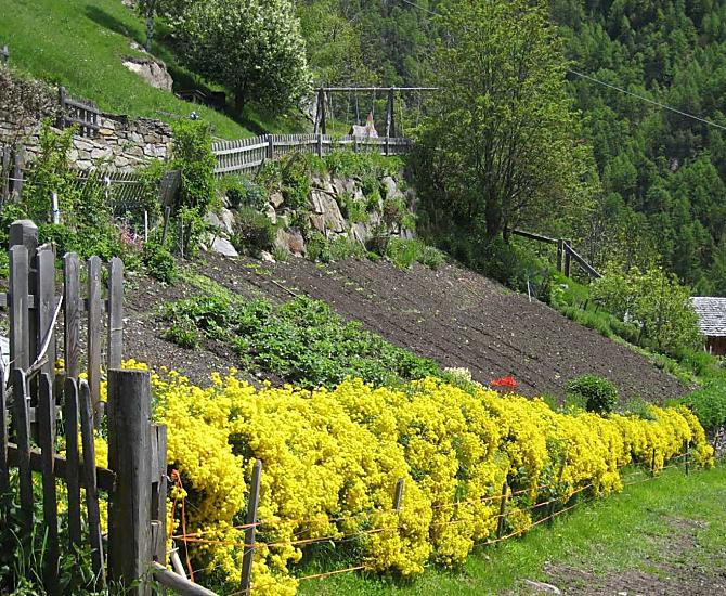 Ogródek ziolowy i warzywny