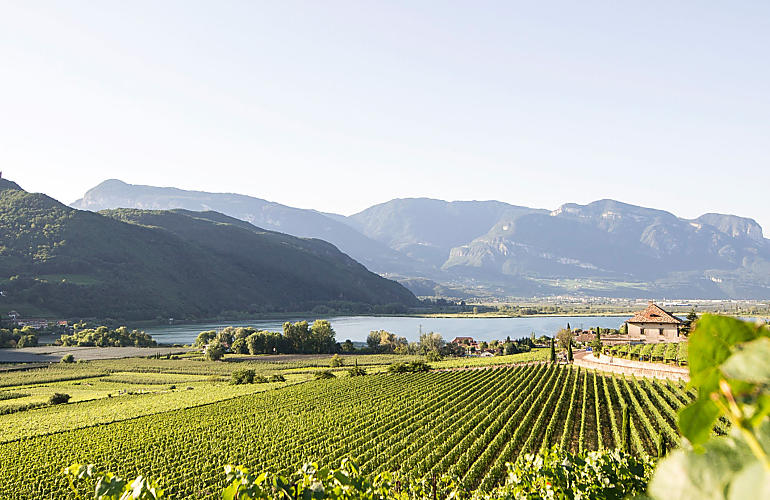 Wakacje w gospodarstwie w Bolzano i okolicach