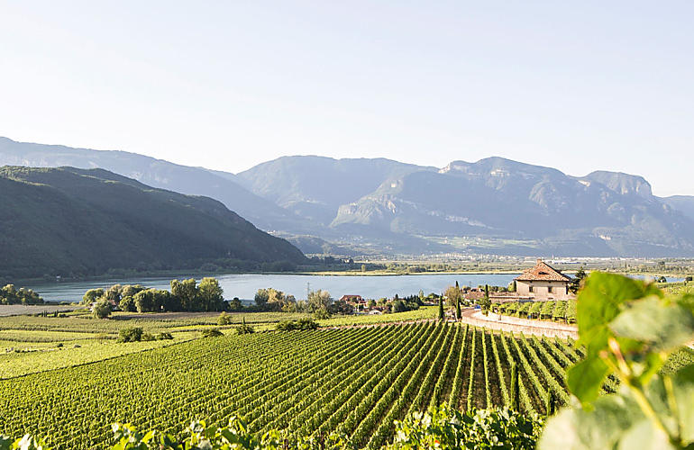 Wakacje w gospodarstwie w Bolzano i okolicach