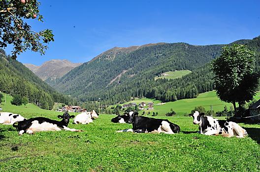 Leimgruberhof - Lista Photo