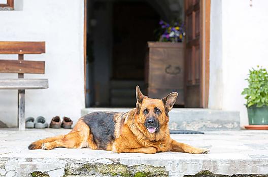 Haspingerhof - Lista Photo