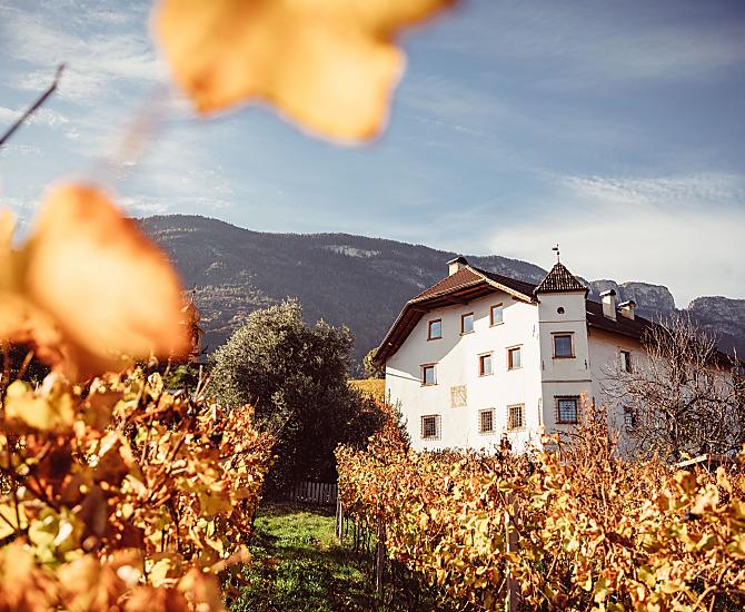 Weinhof Von Payr - Galeria zdjęć Photo
