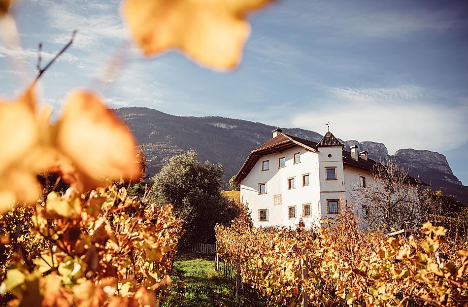 Weinhof Von Payr - Galeria zdjęć Photo
