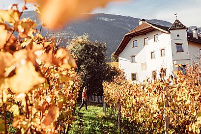 Weinhof Von Payr - Produkty z gospodarstwa Photo