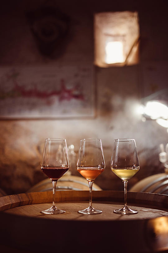 Weinhof Von Payr - Produkty z gospodarstwa Photo