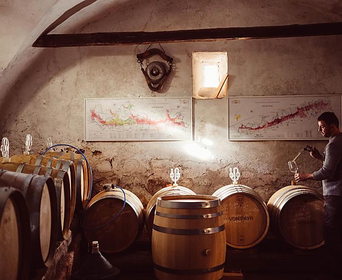 Weinhof Von Payr - Galeria zdjęć Photo