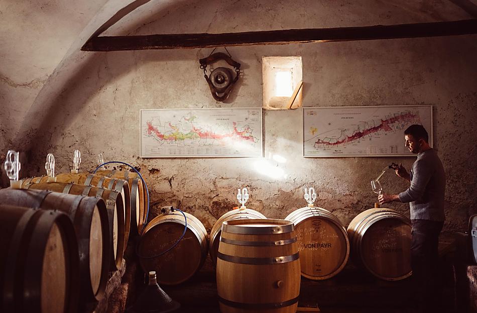 Weinhof Von Payr - Galeria zdjęć Photo