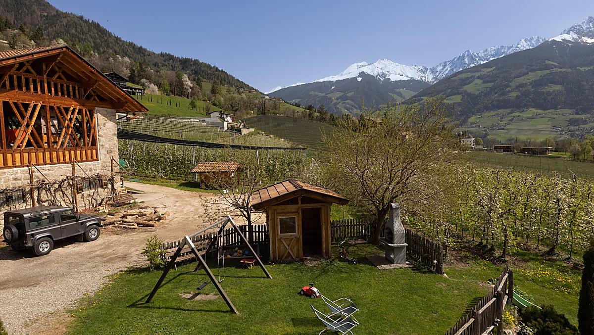 Frühling