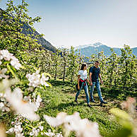Ciekawe spacery i pierwsze wycieczki rowerowe