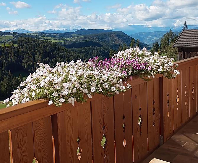 Oberbühlhof - Galeria zdjęć Photo