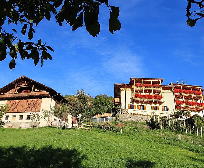Kinnhof - Galeria zdjęć Photo