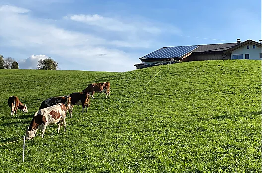 Forchnerhof - Lista Photo