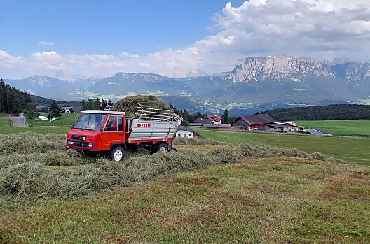 Kardinerhof - Lista Photo