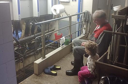 Lilly Marie i Josef podczas dojenia