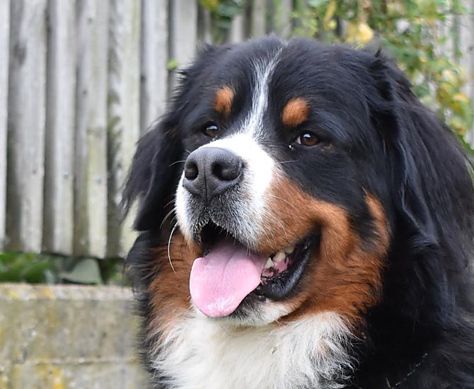 Max