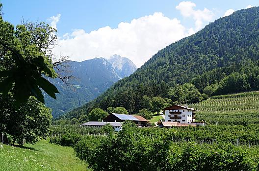 Grumser-Hof - Lista Photo
