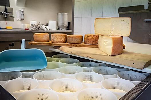 Produkcja sera w serowarni rolniczej