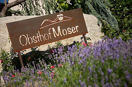 Moser - Lista Photo