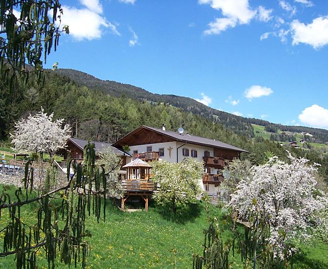 Rasöllerhof - Galeria zdjęć Photo