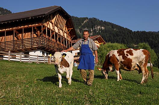 Pristingerhof - Lista Photo