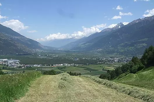 Możesz pomóc w zbiorach siana na naszej łące i cieszyć się wspaniałym widokiem na piękną dolinę Vinschgau.