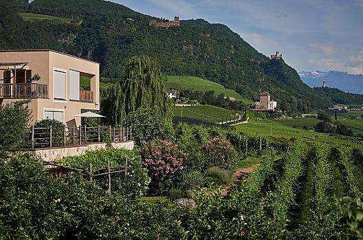 Weingut Stuck - Das Gute leben