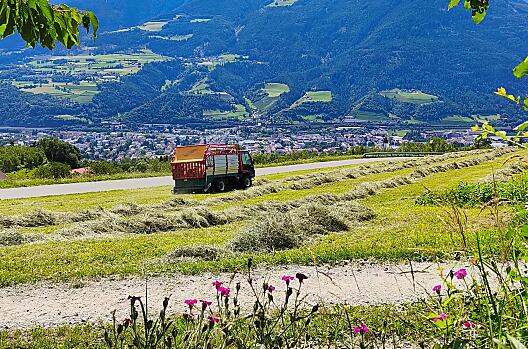 Niederhof - Lista Photo