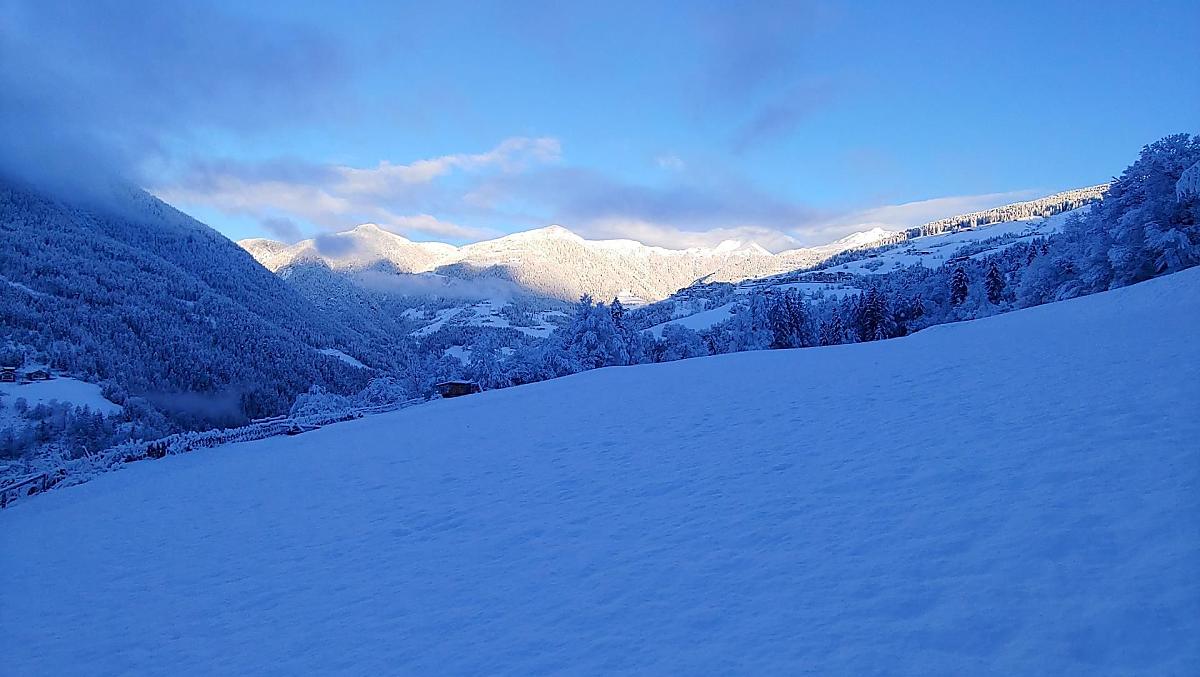 Unterplattner - gallery Photo