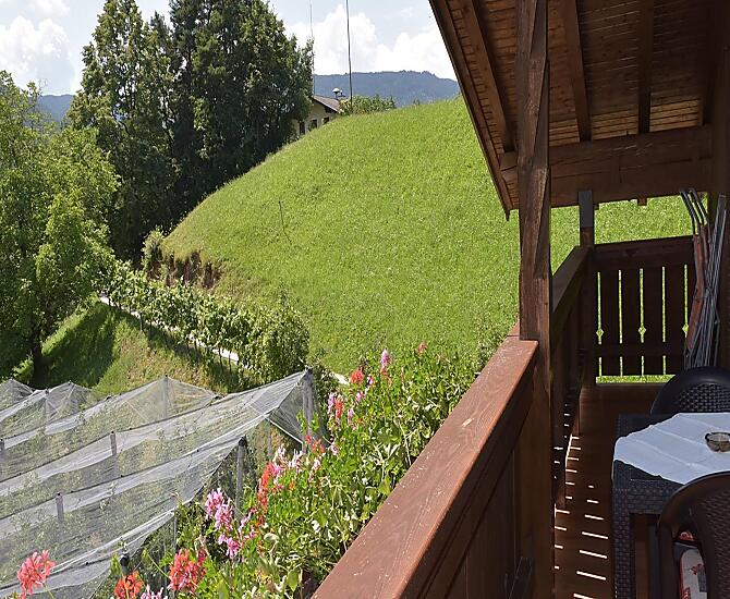 Landhof Hanig - gallery Photo