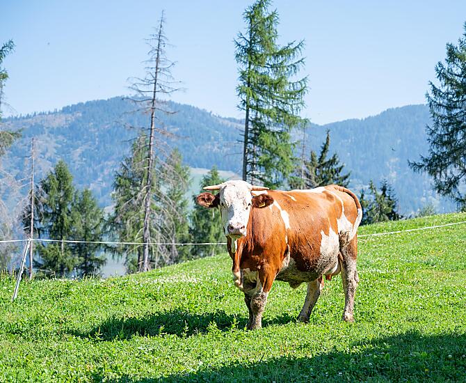 Col de Tlames - gallery Photo