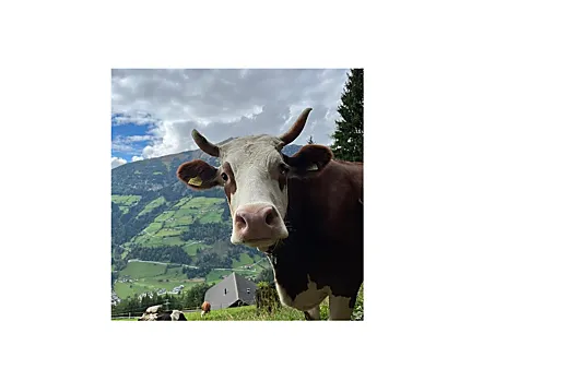 Hauerhof - Lista Photo