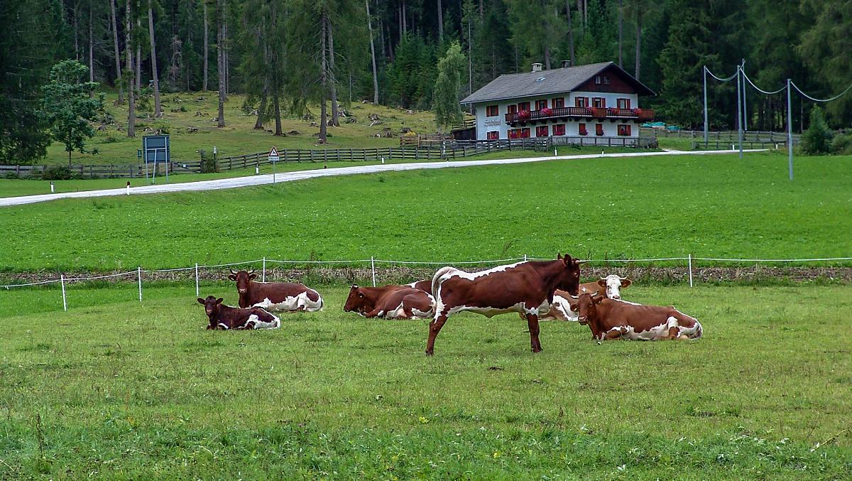 Roderhof - gallery Photo