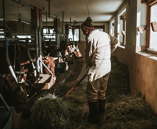 Hochgruberhof - Galeria zdjęć Photo