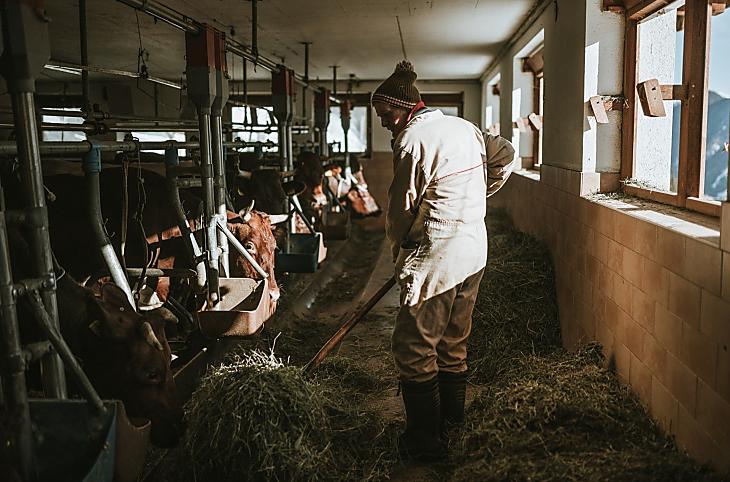 Hochgruberhof - Galeria zdjęć Photo