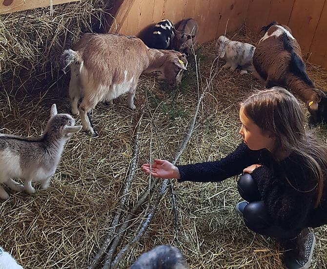 Nasza Julka jest tak samo zainteresowana dobrem zwierzat jak my: Czy potomstwo ma sie dobrze? Czy stajnia jest czysta? Czy jest wystarczajaco duzo jedzenia?